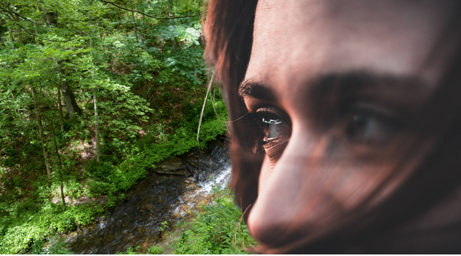 Meet the Characters of Buck Hole Hollow, adley, marley, sarah, davis, michael, marley, romance novels, sexy romance, tennessee, loggers, fiction, romance fiction, romance