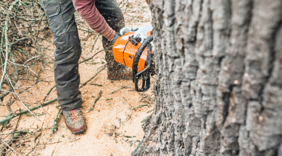 Meet the Characters of Buck Hole Hollow, adley, marley, sarah, davis, michael, marley, romance novels, sexy romance, tennessee, loggers, fiction, romance fiction, romance