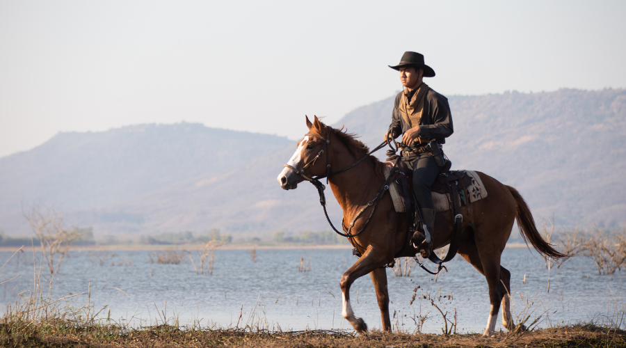 The Language of Love: Mastering Romance Fiction Writing, Rhea Morrigan, sexy romance, erotica, contemporary romance, buck hole hollow, romance writing