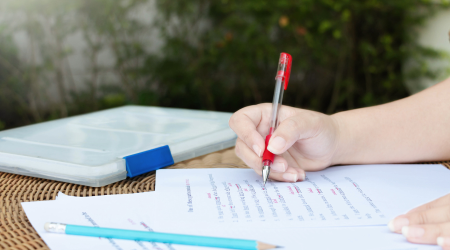 The Language of Love: Mastering Romance Fiction Writing, Rhea Morrigan, sexy romance, erotica, contemporary romance, buck hole hollow, romance writing