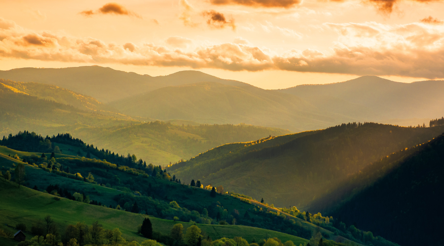 The Language of Love: Mastering Romance Fiction Writing, Rhea Morrigan, sexy romance, erotica, contemporary romance, buck hole hollow, romance writing